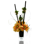 Three Daisies